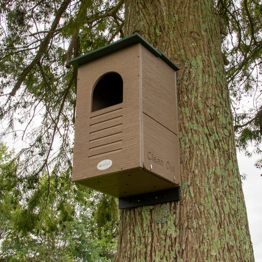 Front of Poly-lumber Barred Owl nesting box shown mounted to a tree.