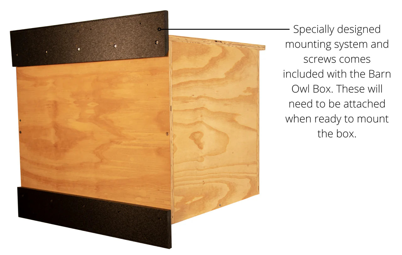 The "Estate Guardian" Barn Owl House | Large Raptor Nesting Box | JCS Wildlife