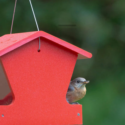 The 'Pick Two' Small Hopper Bird Feeder Pair