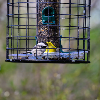 The "Aegis-150" Caged Bird Feeder | 14-Inch Sanctuary Exclusion Station | Brome