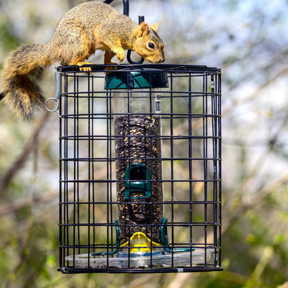 The "Aegis-150" Caged Bird Feeder | 14-Inch Sanctuary Exclusion Station | Brome