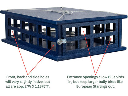 The 'Sky Diner' Deluxe Caged Platform Bluebird Feeder | JCS Wildlife Recycled Poly-Lumber Mealworm Feeder