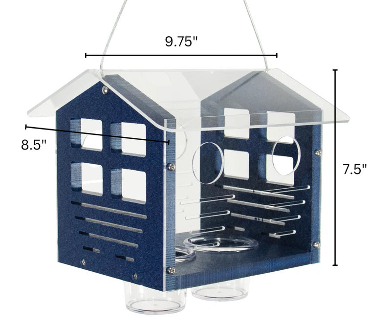 The 'Cerulean Sanctuary' Bundle | JCS Wildlife Ultimate Bluebird Habitat
