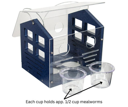 The 'Cerulean Sanctuary' Bundle | JCS Wildlife Ultimate Bluebird Habitat
