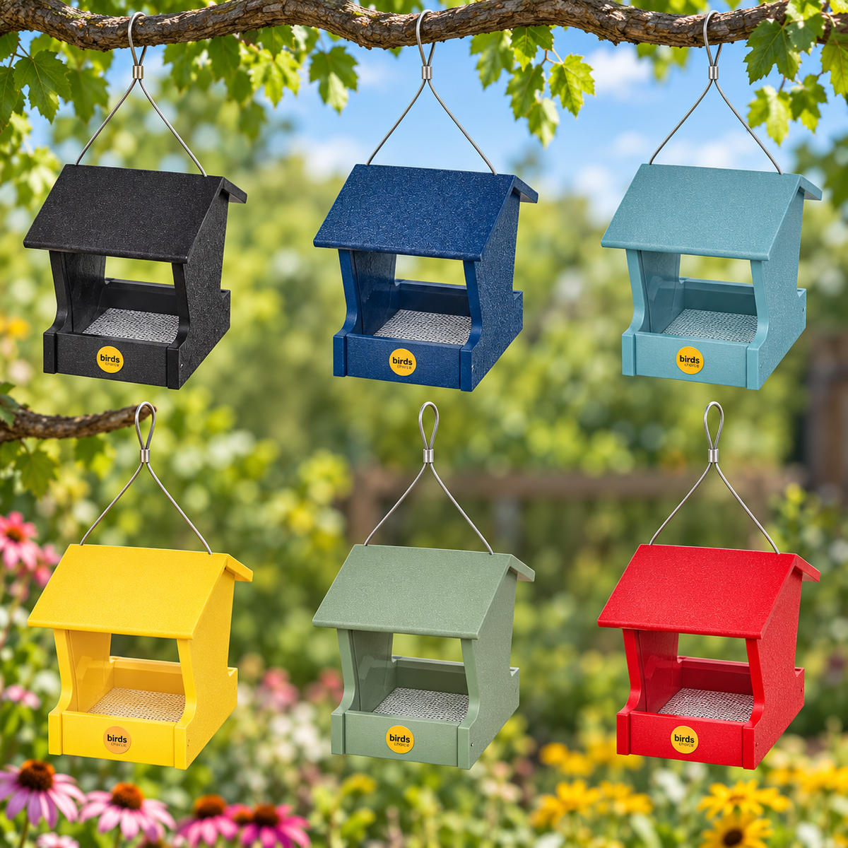 The 'Pick Two' Small Hopper Bird Feeder Pair