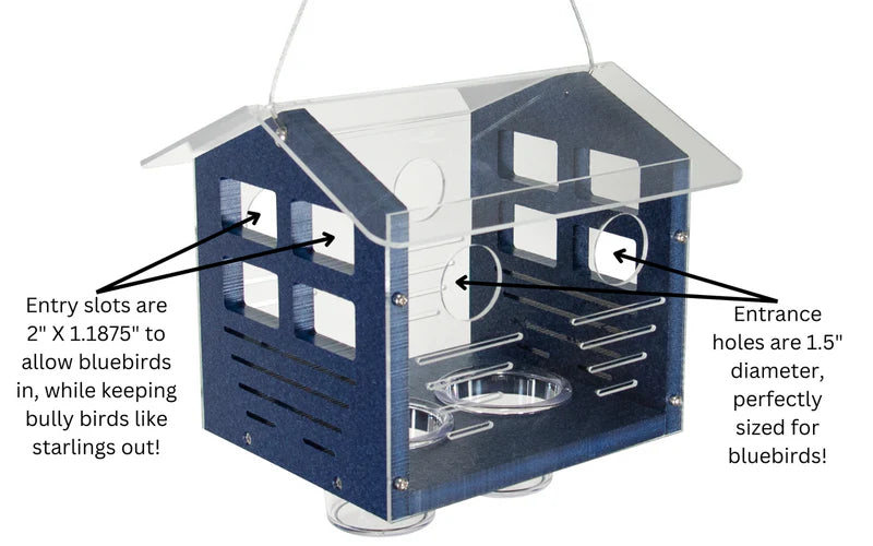 The 'Cerulean Sanctuary' Bundle | JCS Wildlife Ultimate Bluebird Habitat
