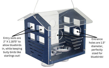The 'Cerulean Sanctuary' Bundle | JCS Wildlife Ultimate Bluebird Habitat