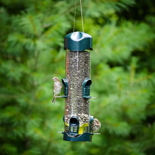 The Grandstand six-port tube bird feeder by Brome