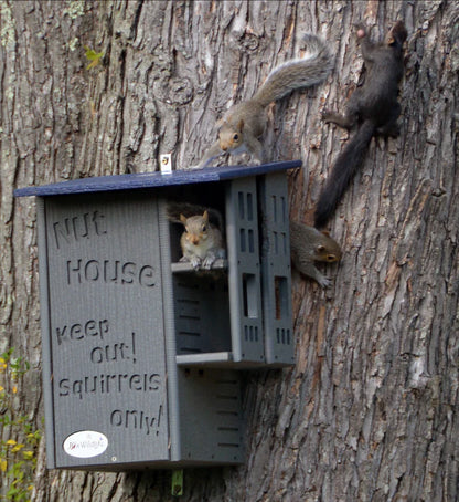 The "Poly-Summit" Nut House Citadel | Heavy-Duty Poly Squirrel Nesting Box | JCS Wildlife