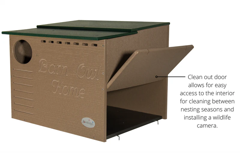Side profile of tan & green barn owl box showing functionality of clean out door.