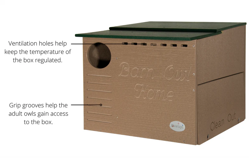 Tan & green owl house front profile showing ventilation holes and grip access grooves.
