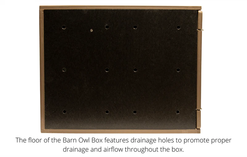 Bottom/Floor of a Barn Owl nesting box with drainage holes.