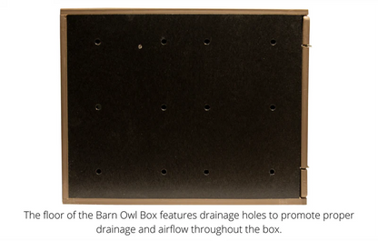 Bottom/Floor of a Barn Owl nesting box with drainage holes.