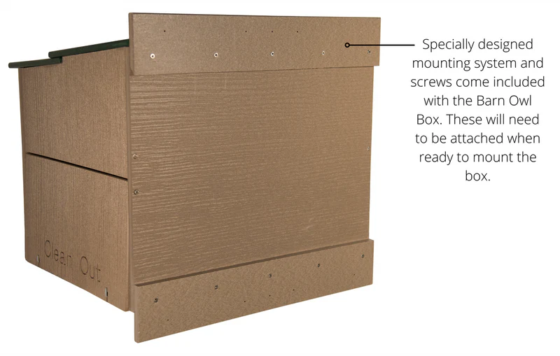 Rear profile of barn owl nesting box featuring the special mounting system.