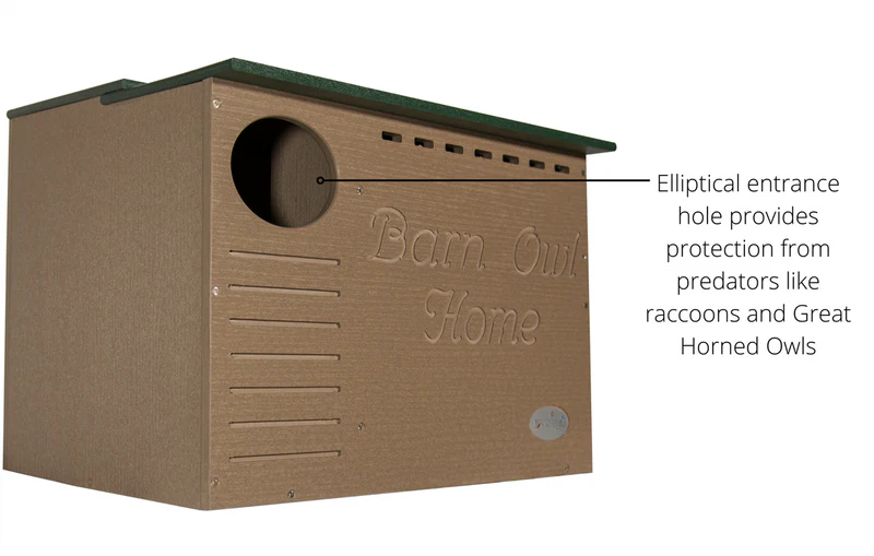 Front profile of poly-lumber Barn Owl box featuring anti-predator elliptical entrance hole.