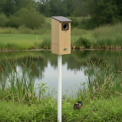 The Riparian Wood Duck Estate | Hybrid Cedar & Poly Wetland Nesting Box | JCS Wildlife