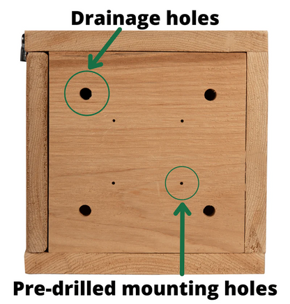The Riparian Wood Duck Estate | Hybrid Cedar & Poly Wetland Nesting Box | JCS Wildlife