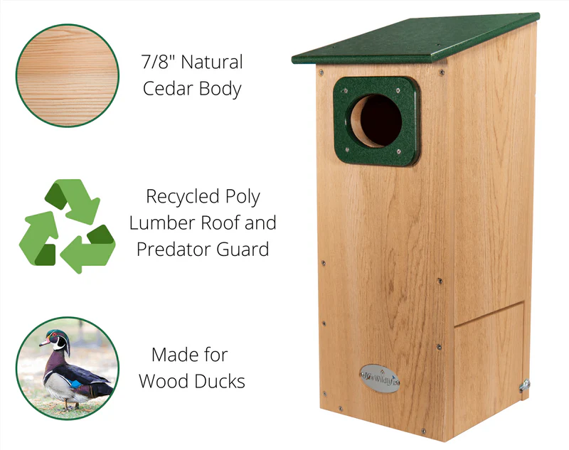 The Riparian Wood Duck Estate | Hybrid Cedar & Poly Wetland Nesting Box | JCS Wildlife