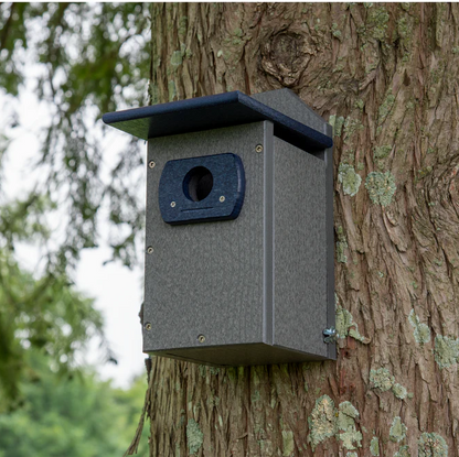 Recycled poly-lumber blue & gray bluebird nesting box mounted on tree trunk.