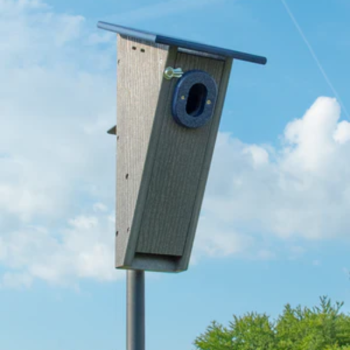 Front view poly-lumber Peterson bluebird house mounted to pole.