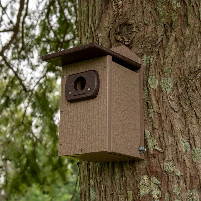 Recycled poly-lumber brown & tan bluebird nesting box mounted on tree trunk.
