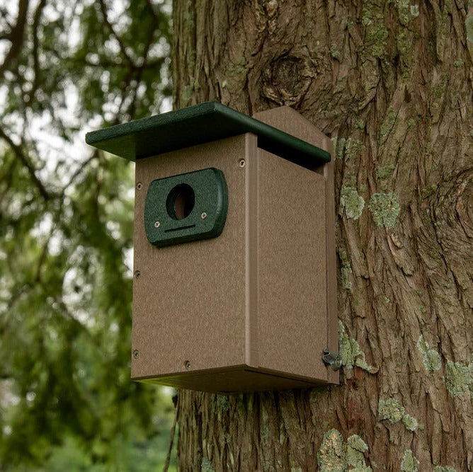 Recycled poly-lumber green & tan bluebird nesting box mounted on tree trunk.