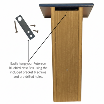 Rear view poly lumber Peterson Bluebird house featuring hanging hardware.