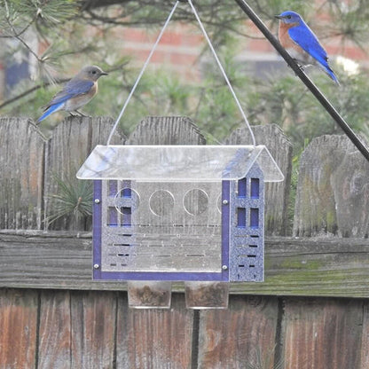 The 'Invitation Only' Enclosed Bluebird Feeder 2.0 | JCS Wildlife Recycled Poly-Lumber Bluebird Mealworm Feeder