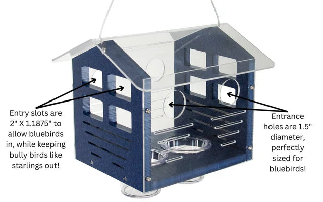 The 'Invitation Only' Enclosed Bluebird Feeder 2.0 | JCS Wildlife Recycled Poly-Lumber Bluebird Mealworm Feeder