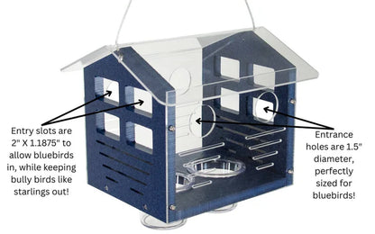 The 'Invitation Only' Enclosed Bluebird Feeder 2.0 | JCS Wildlife Recycled Poly-Lumber Bluebird Mealworm Feeder