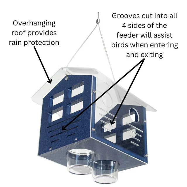 The 'Invitation Only' Enclosed Bluebird Feeder 2.0 | JCS Wildlife Recycled Poly-Lumber Bluebird Mealworm Feeder