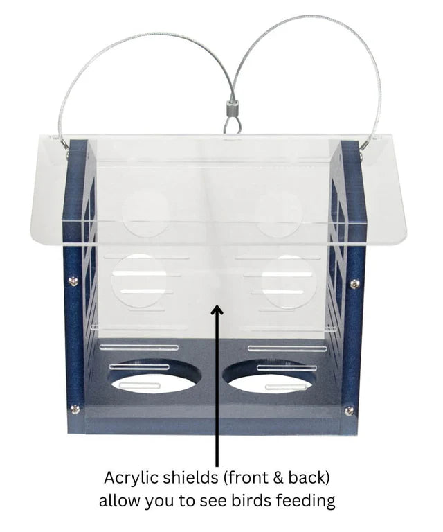 The 'Invitation Only' Enclosed Bluebird Feeder 2.0 | JCS Wildlife Recycled Poly-Lumber Bluebird Mealworm Feeder