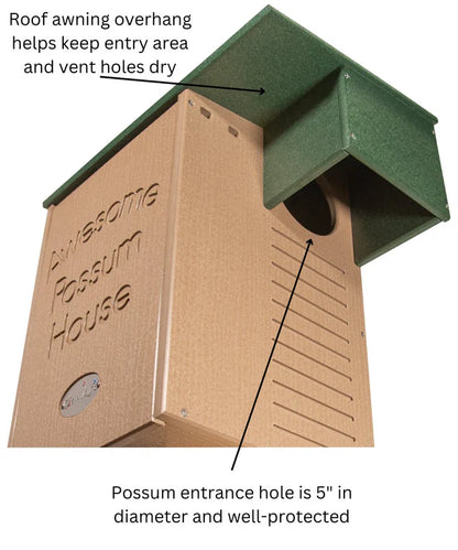 The Marsupial Manor| Professional Opossum Habitat | JCS Wildlife