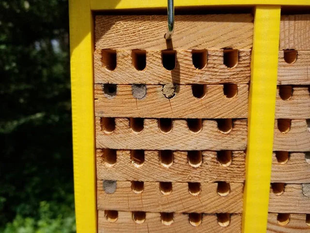 The 'Poly Pollinator' Mason Bee House | JCS Wildlife Small Poly Lumber & Pine Bee House