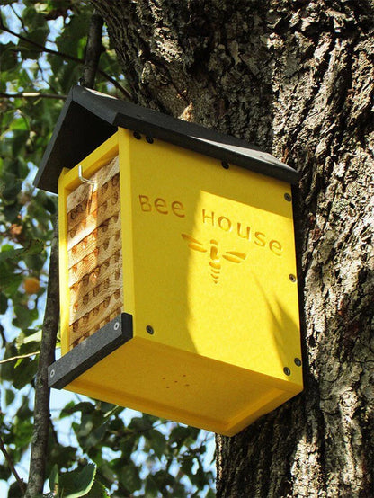 The 'Poly Pollinator' Mason Bee House | JCS Wildlife Small Poly Lumber & Pine Bee House