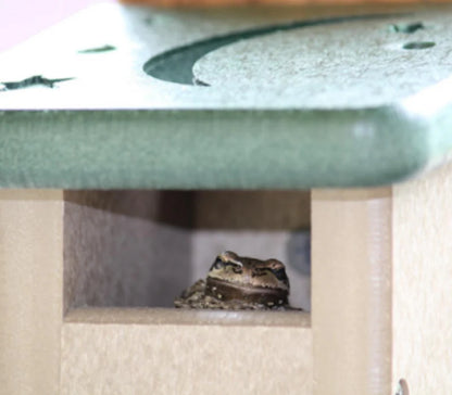 The Lily Pad Tree Frog Condo | Four-Chamber Hydration Habitat | JCS Wildlife