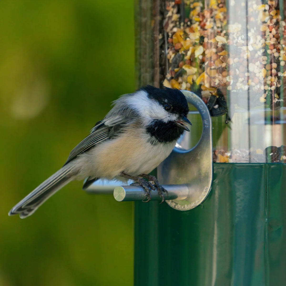 The 'Seed Sentinel' Squirrel-Proof Pole Bird Feeder