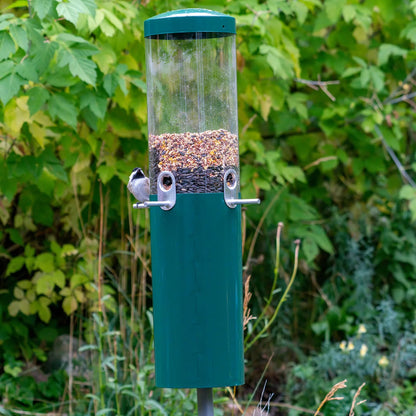 The 'Seed Sentinel' Squirrel-Proof Pole Bird Feeder