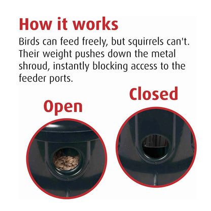 The 'Cardinal Vault' Squirrel-Proof Bird Feeder