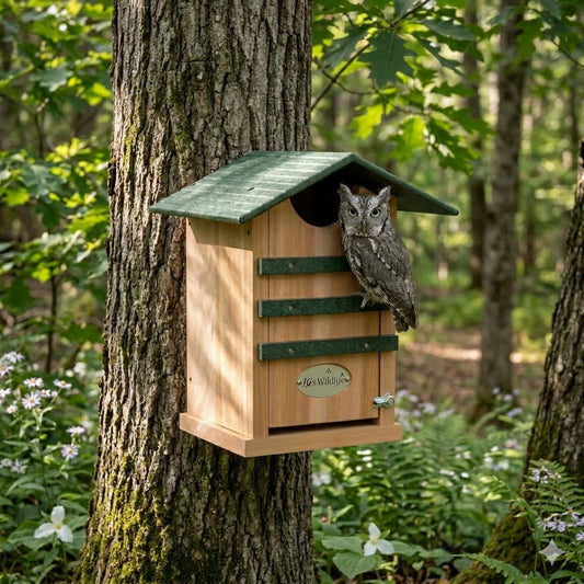 The "Skyward Guardian" Owl House & Kestrel Box | Poly Nesting Box | JCS Wildlife