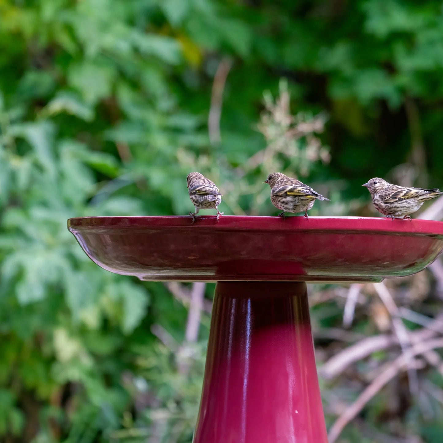 The "Zanesville" Ceramic Bird Bath | 17-Inch Locking Stone Garden Basin | Ohio Stoneware