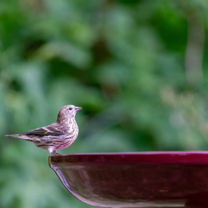 The "Zanesville" Ceramic Bird Bath | 17-Inch Locking Stone Garden Basin | Ohio Stoneware
