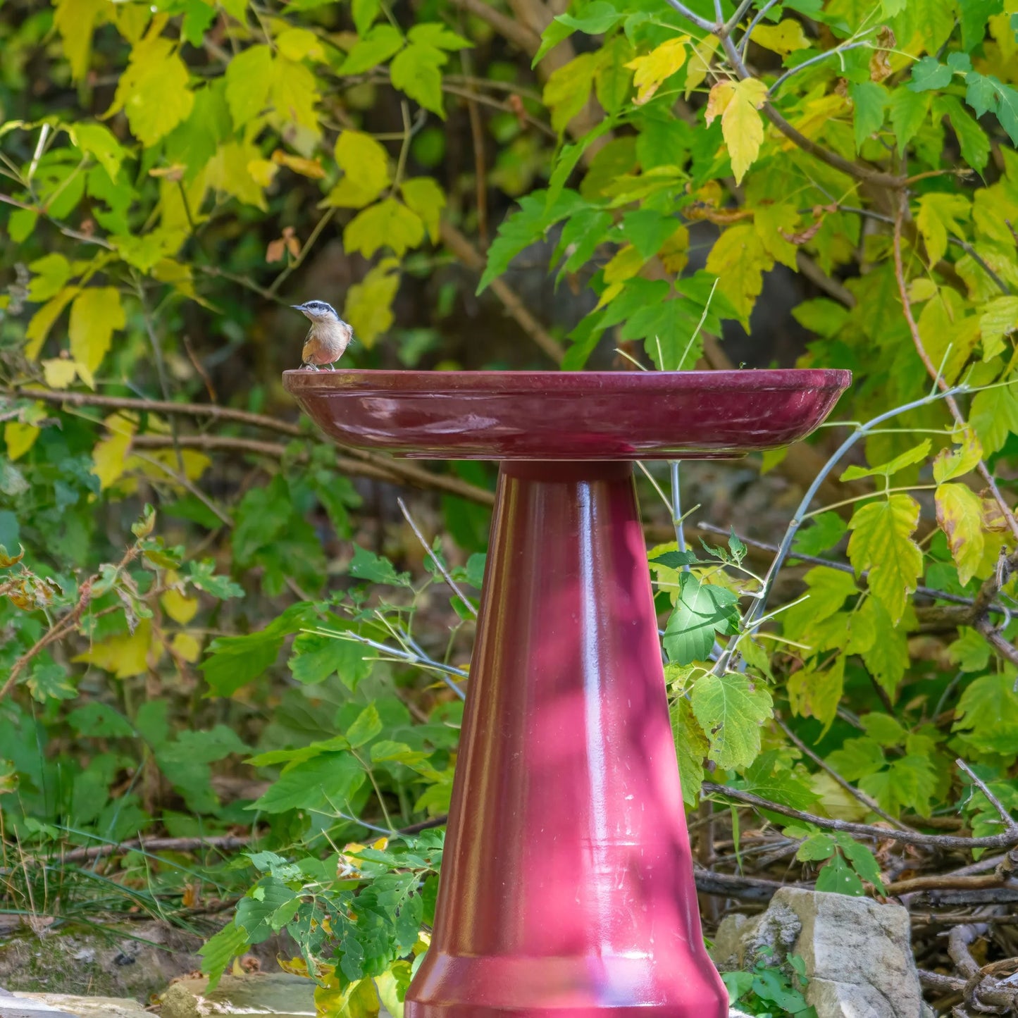 The "Zanesville" Ceramic Bird Bath | 17-Inch Locking Stone Garden Basin | Ohio Stoneware