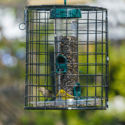 The "Aegis-150" Caged Bird Feeder | 14-Inch Sanctuary Exclusion Station | Brome