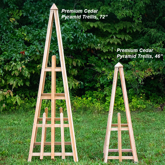 The 'Satellite Staple' Pyramid Trellis | Prime Retreat 46" Handcrafted Cedar Garden Obelisk