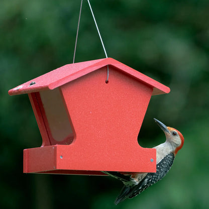 The 'Pick Two' Small Hopper Bird Feeder Pair
