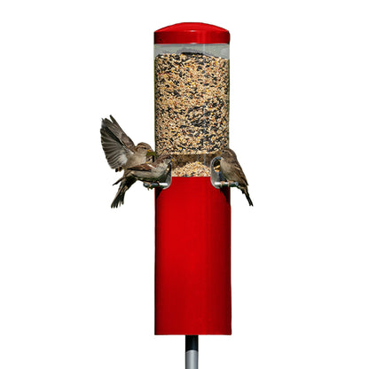 Red squirrel-proof pole-mounted tube bird feeder with steel baffle