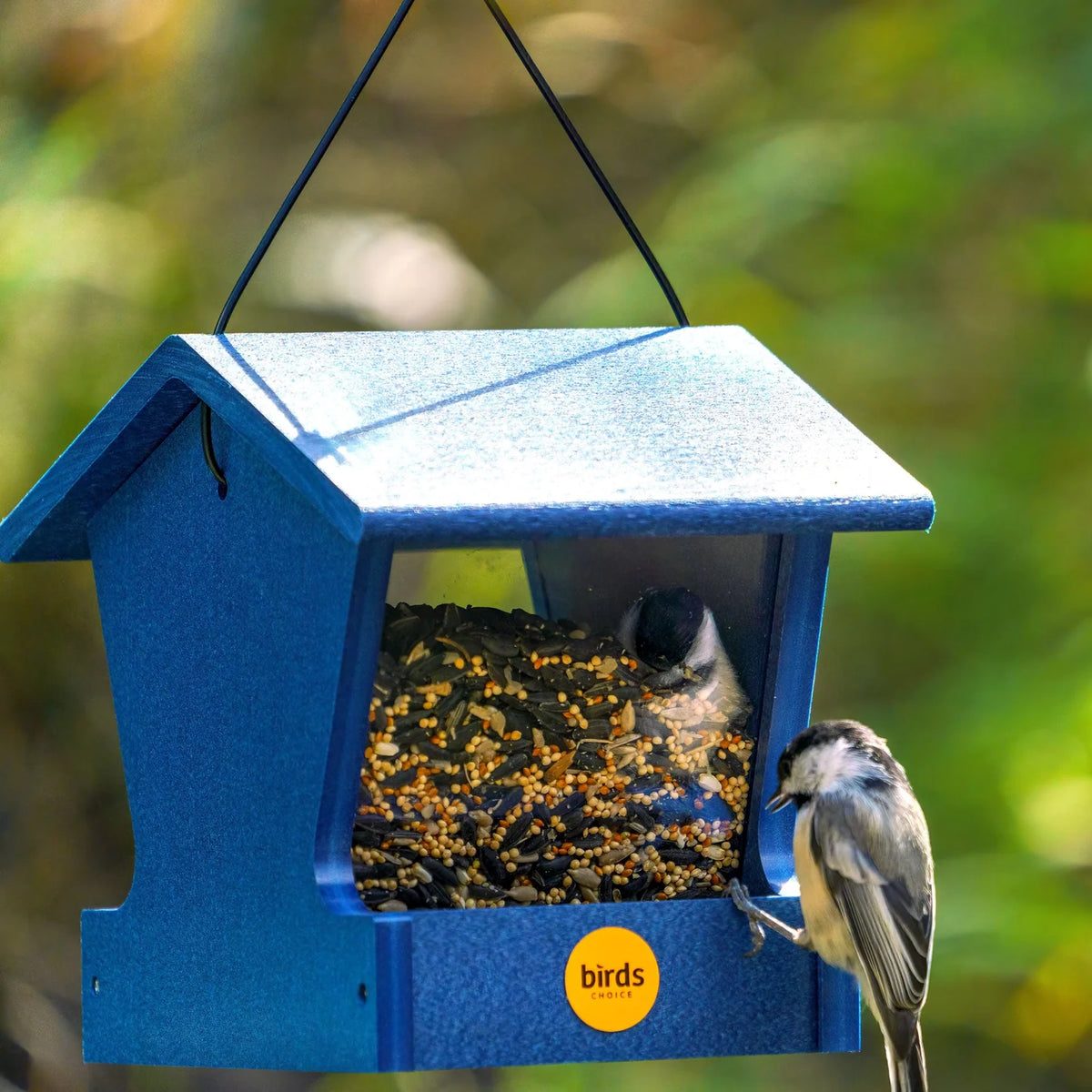 The 'Pick Two' Small Hopper Bird Feeder Pair