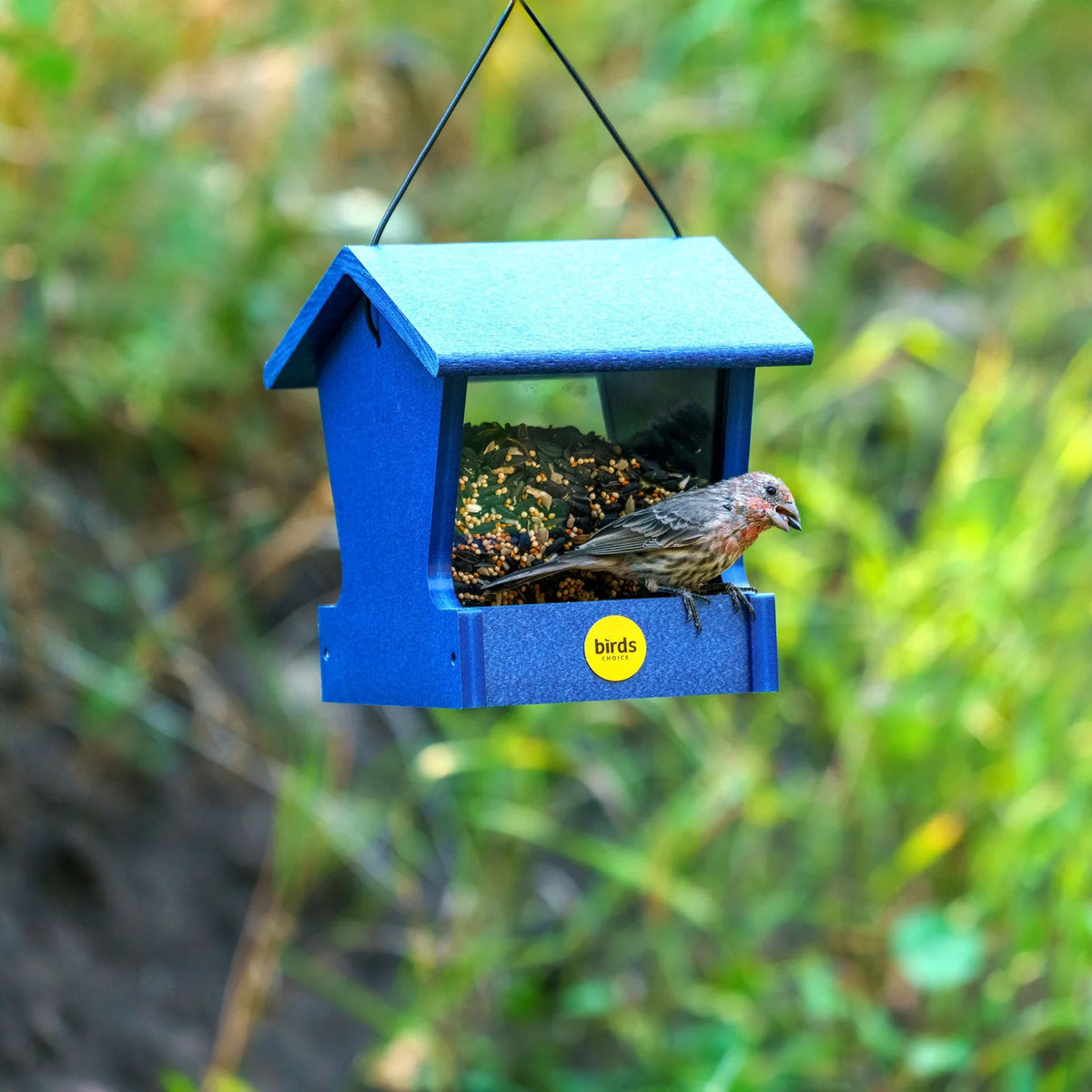 The 'Pick Two' Small Hopper Bird Feeder Pair
