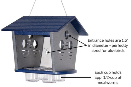 The 'Members Only Buffet' Ultimate Enclosed Bluebird Feeder | JCS Wildlife Recycled Poly-Lumber Bluebird Mealworm Feeder